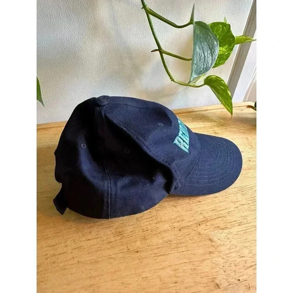 Hudson Valley Renegades Minor league Baseball Hat - Picture 3 of 8